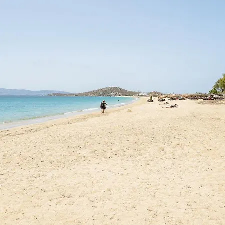 Flerianos Naxos Lägenhetshotell