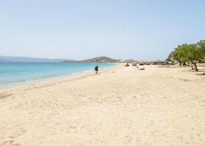 Flerianos Naxos 아파트호텔